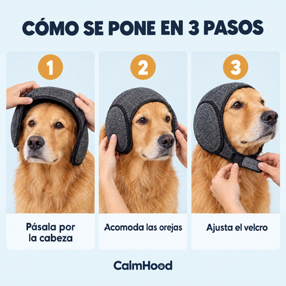 Cómo poner CalmHood en 3 pasos